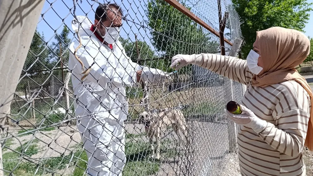 Bismil’de kurulan sokak hayvanları birimi çalışmalara başladı